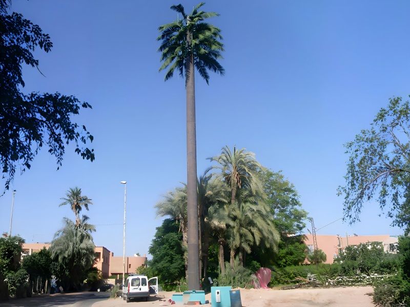 Exportación a Marruecos de torres monopolares de palmeras camufladas